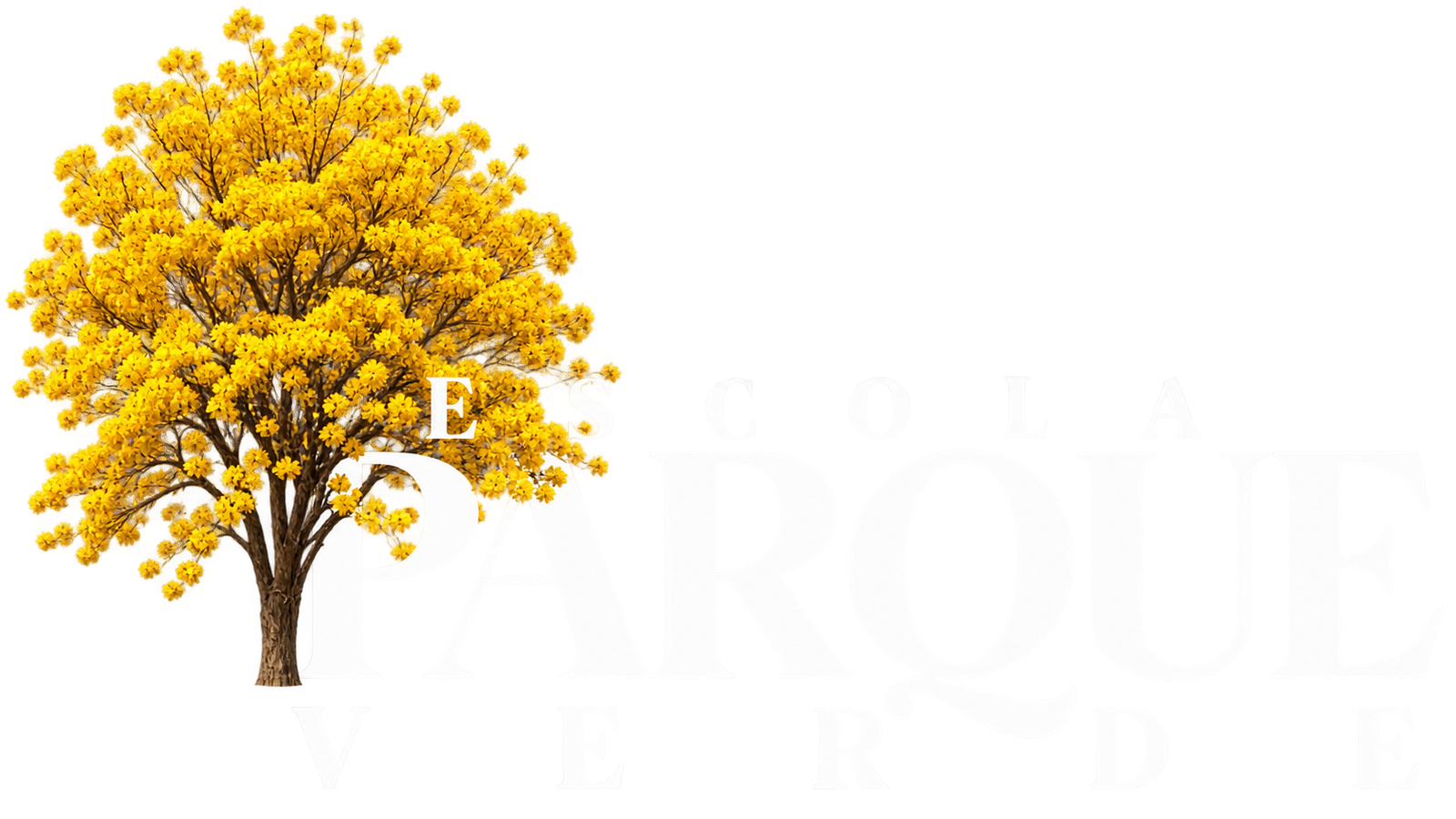 Escola Parque Verde